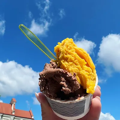 Vaflove - Lody rzemieślnicze produkcji własnej